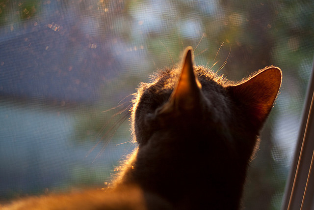_勇士三分如雨，场场火力全开_，勇士队三分球