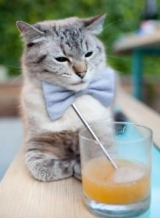 _全民运动日：每个人都可以参与的趣味赛_，全民做运动