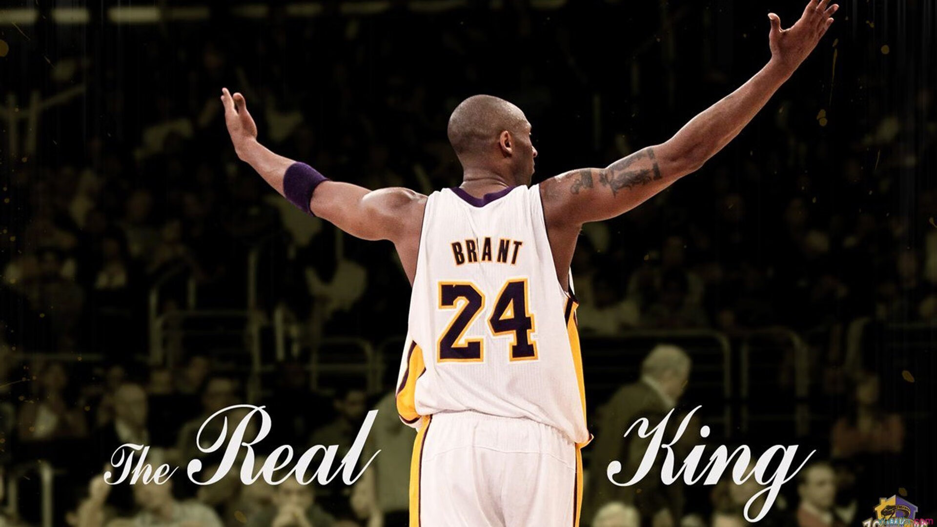 _湖人全力拼搏，争夺季后赛席位_，湖人 季后赛