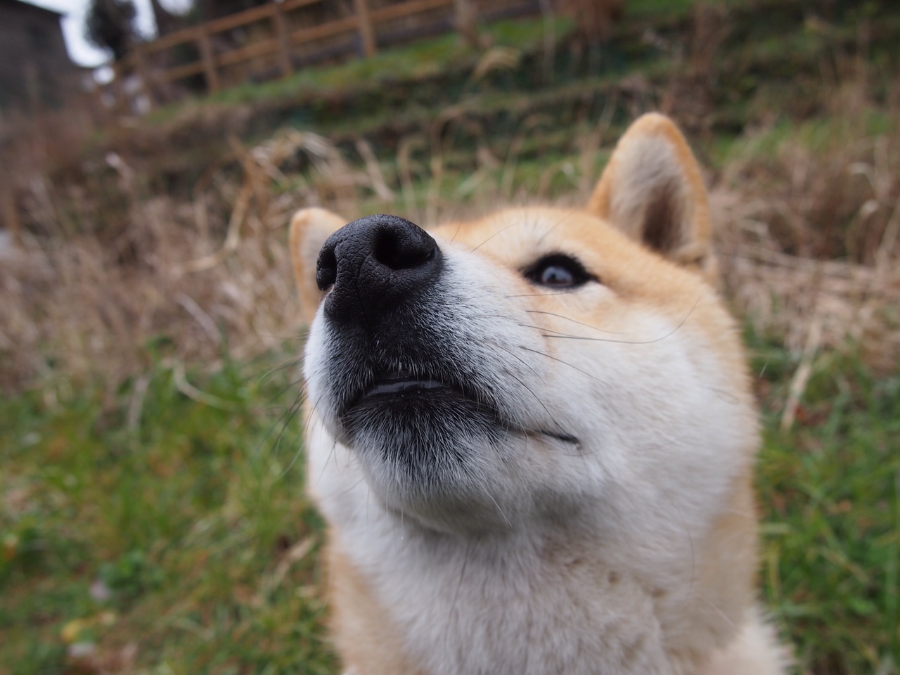 新手也能学：车手的实用驾驶技巧指南，驾驶员新手教程