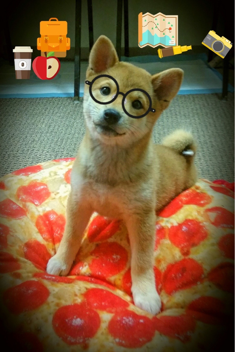 训练日记:明星球员的训练秘籍大曝光,篮球明星训练视频