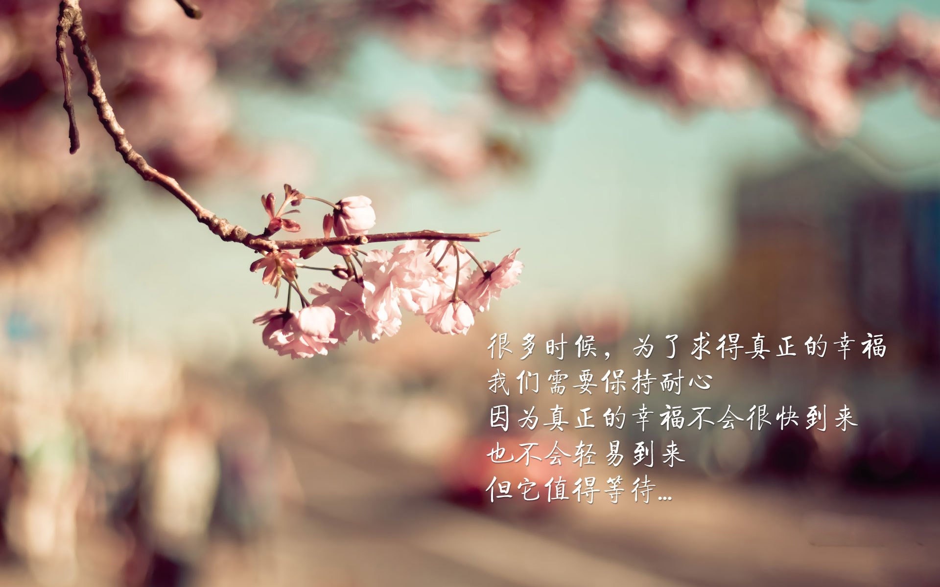 勇士队面对强敌，主帅强调团结拼搏，勇士对员