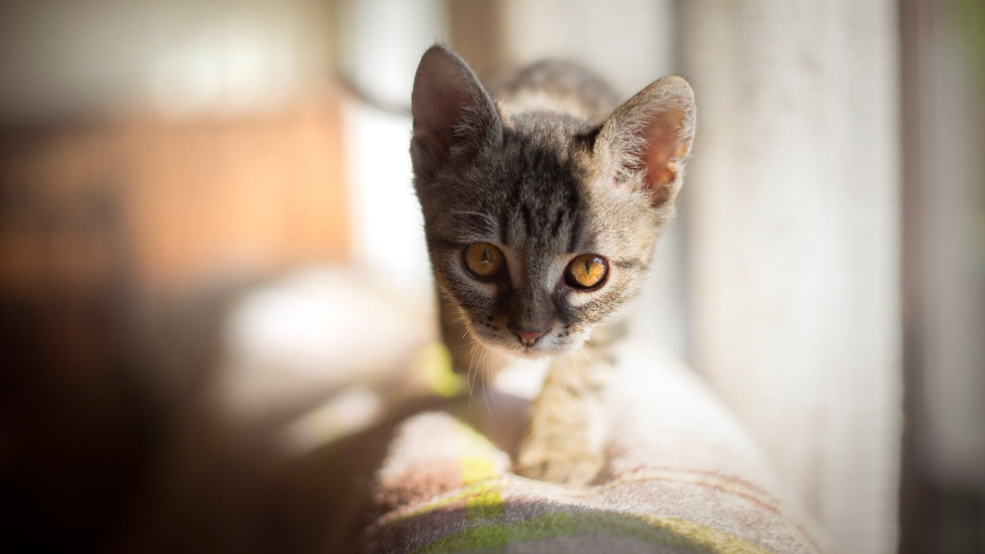 九游娱乐(jiuyou)官网-快船主场火力全开乔治致胜，快船乔治集锦