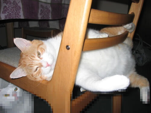 摩纳哥球员状态火热，摩纳哥球员状态火热视频