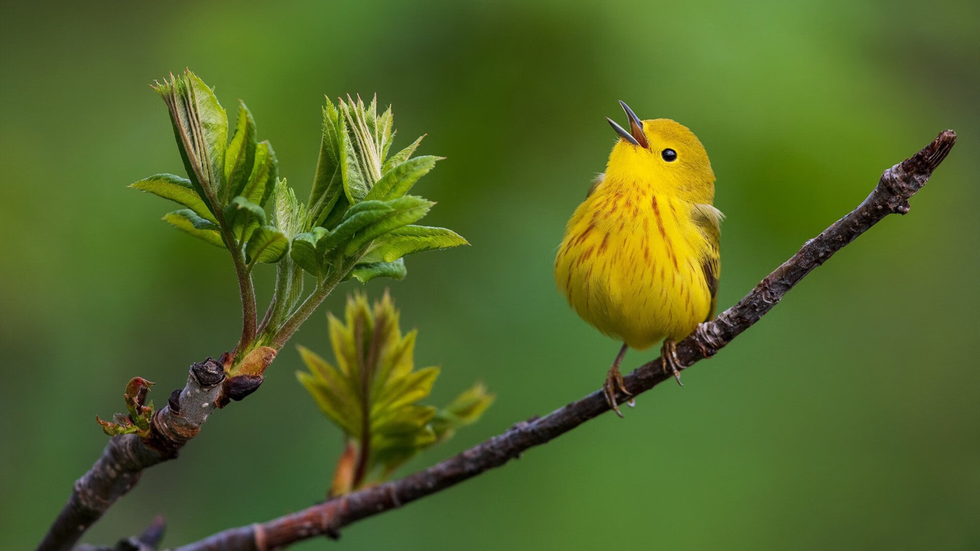 社区挑战赛吸引数百万玩家参与，社区竞技模式