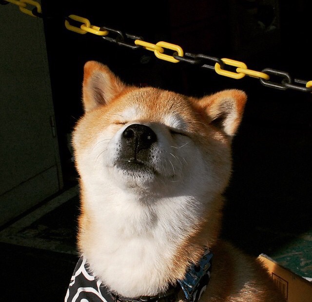 九游娱乐官网 (JIUYOU)-罗瑟汉姆后防稳健，米勒人冲击升级资格，罗瑟米尔爵士