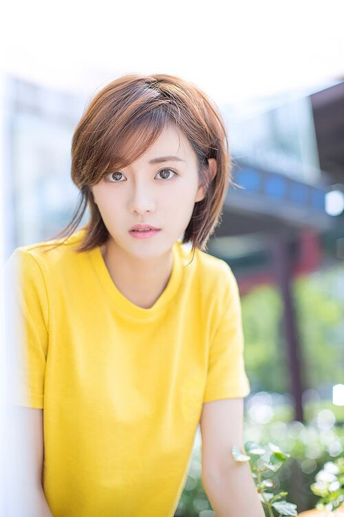 NBA球队阵容深度分析报告，nba队伍阵容