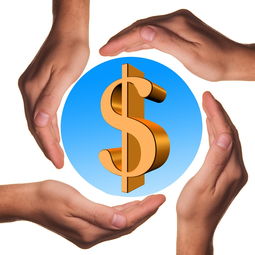 九游游戏中心官网-体育教学中增强现实与虚拟现实融合应用，结合教学实践谈谈示范在体育教学中的运用