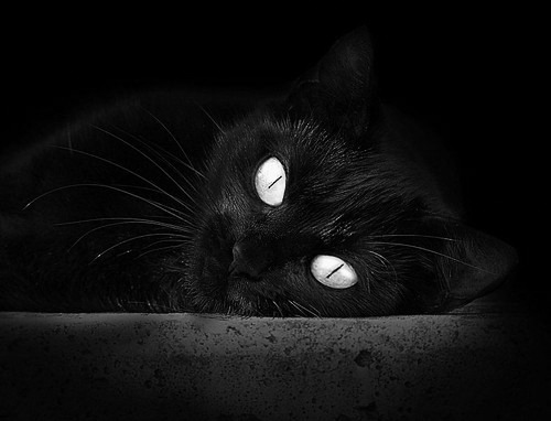 篮球运动员专项技能动作的运动生理学分析，篮球运动员基本功