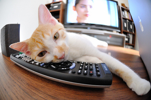 篮球运动员训练负荷动态监测及科学调整方法,篮球运动负荷设计教案