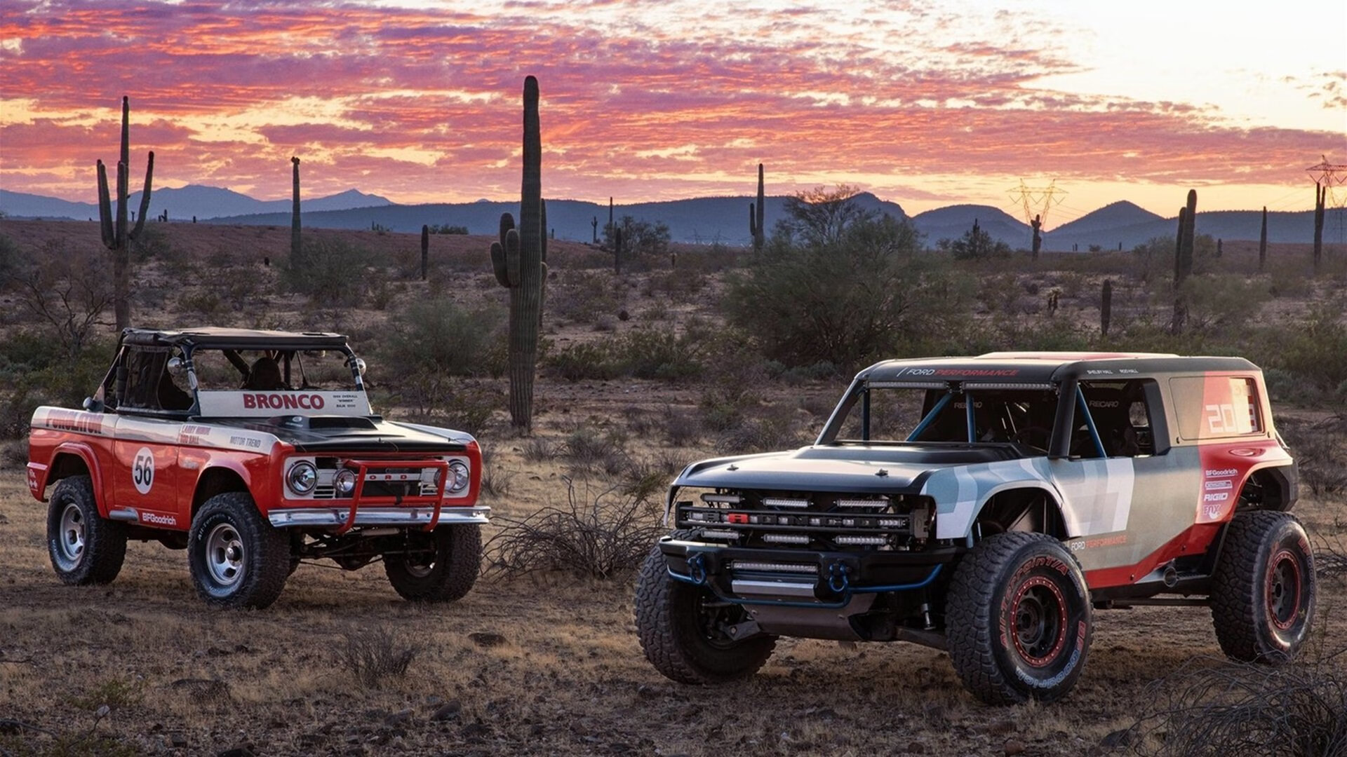 体育新闻中心推出全新赛事数据平台，体育新闻实时