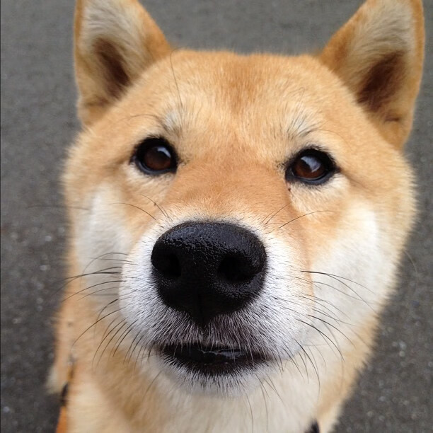 体育运动进社区系列展演精彩纷呈,社区体育开展