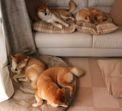 九游jiuyou-前场抢断成功是否决定高压战术有效性，篮球前场抢断后14秒还是24秒