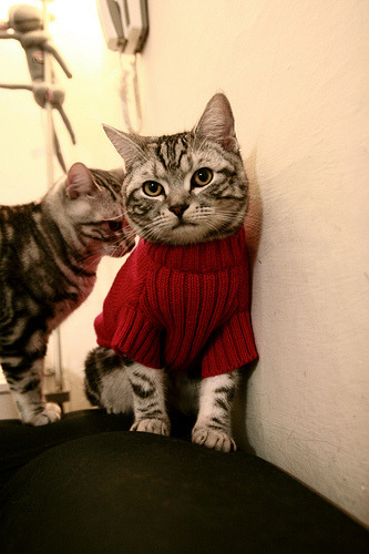 九游网页版官网入口-联盟中最擅长节奏控制的教练战术分析，英雄联盟教练joker