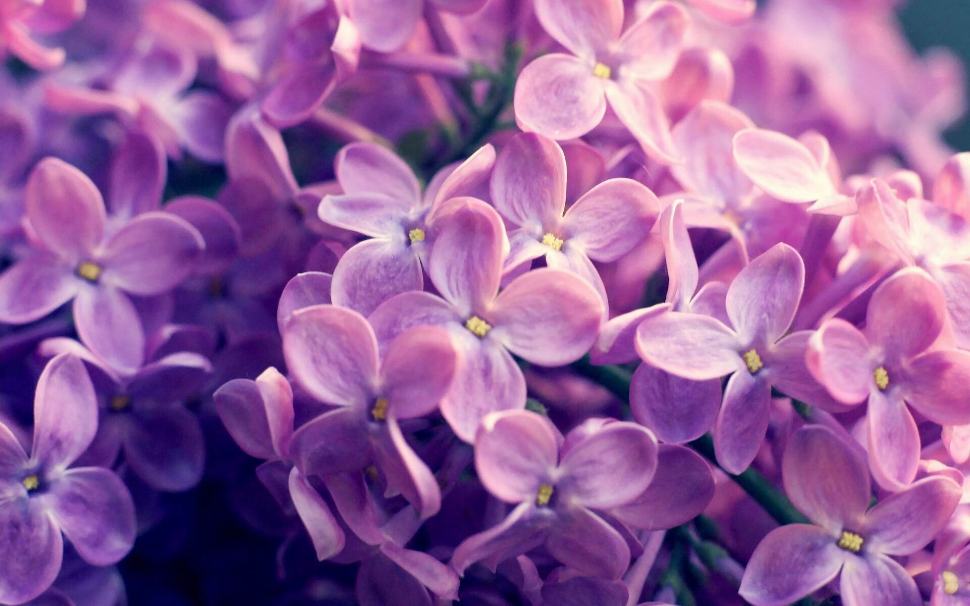 世界杯辉煌瞬间：永恒经典，值得纪念！，世界杯经典回顾