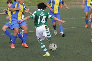 Jiu You-国际足球协会推动足球全民普及，青少年参与度飙升，各国青少年足球注册人口