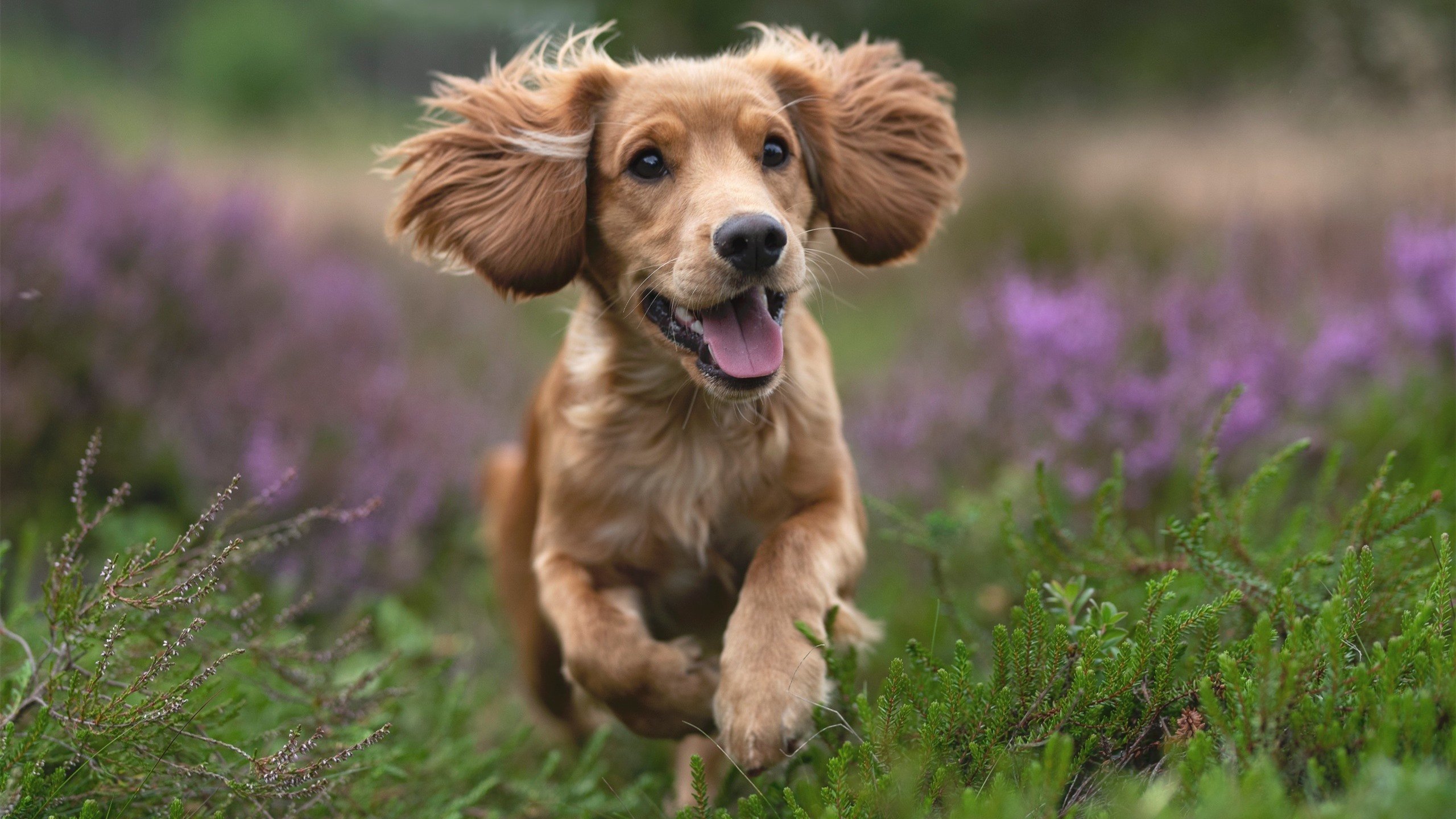 女子篮球训练营设置专属力量训练计划提升身体素质,女子篮球基本功训练