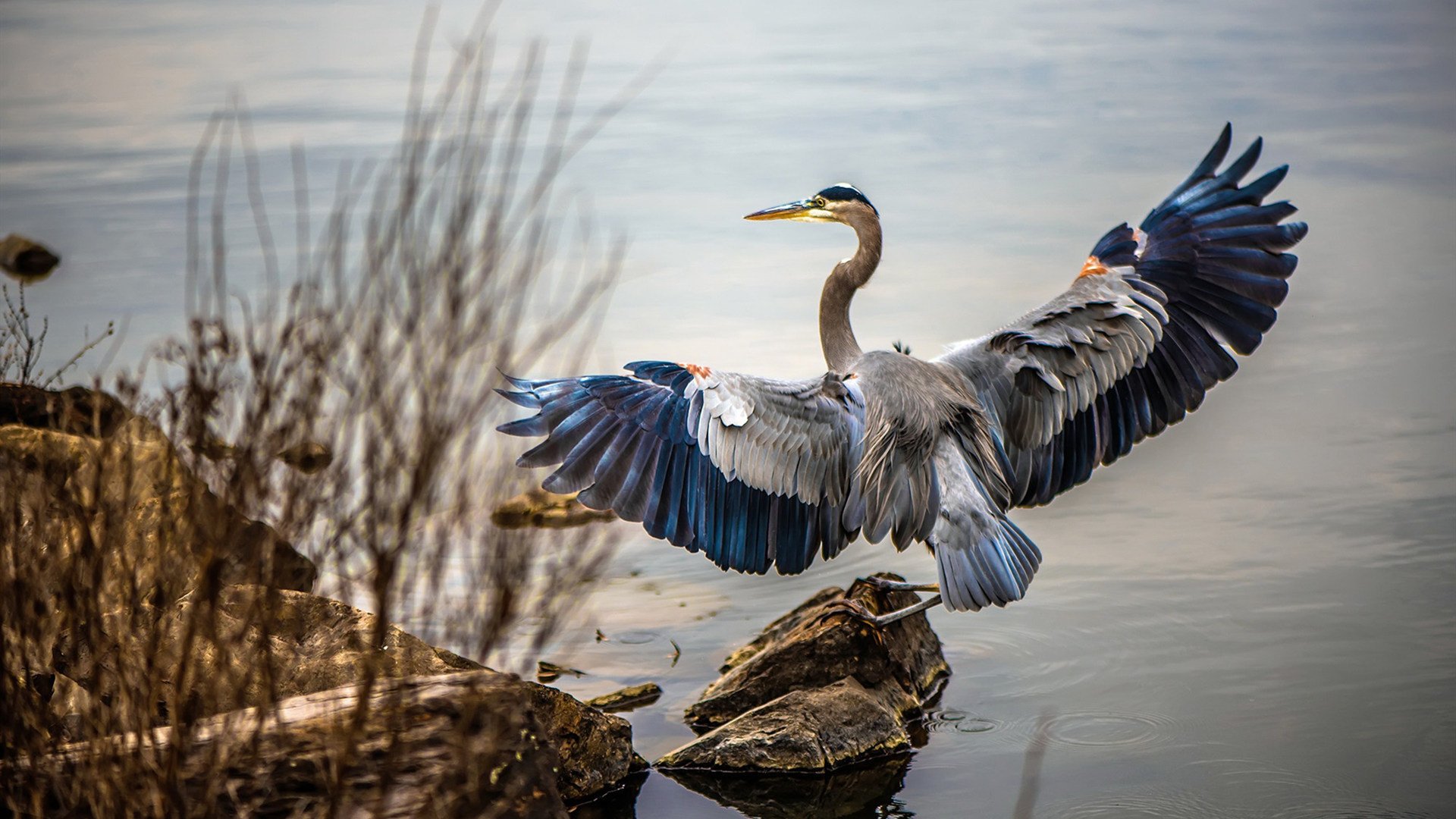 意甲团队合作：默契配合，共创辉煌！，意甲队伍关系