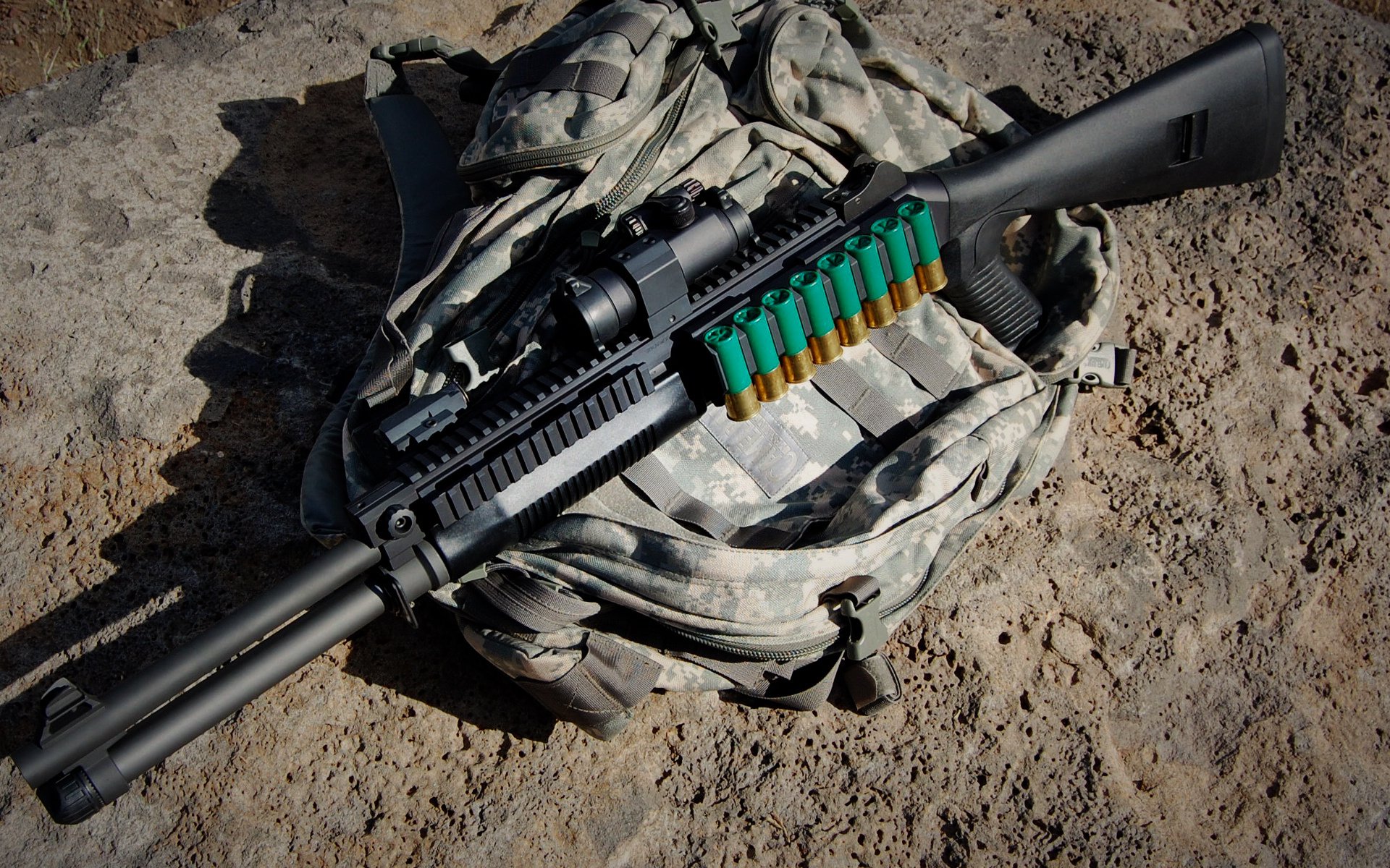 -托里·哈斯克女子100米自由泳赛场新星