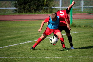 JIU YOU GAME-中国篮球职业联赛俱乐部运营模式创新及管理经验分享，篮球俱乐部运营与管理