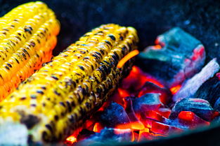 九游官网首页-运动饮食干预对运动表现的促进研究，举例阐述饮食运动对健康的意义